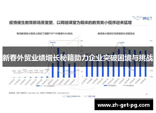 新春外贸业绩增长秘籍助力企业突破困境与挑战