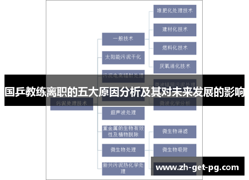 国乒教练离职的五大原因分析及其对未来发展的影响