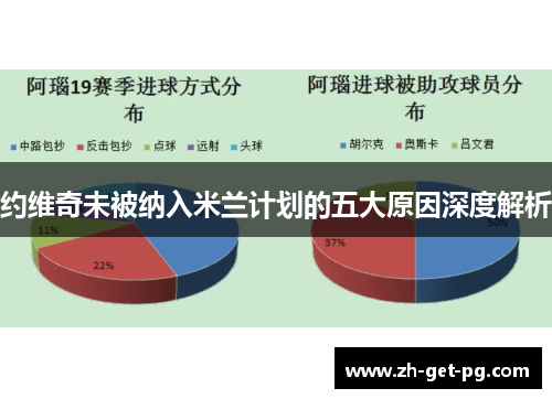 约维奇未被纳入米兰计划的五大原因深度解析 约维奇未被纳入米兰计划的五大原因深度解析