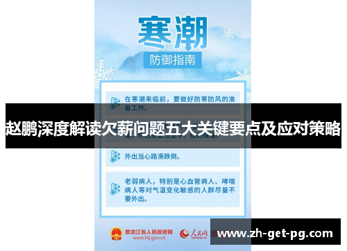 赵鹏深度解读欠薪问题五大关键要点及应对策略 赵鹏深度解读欠薪问题五大关键要点及应对策略