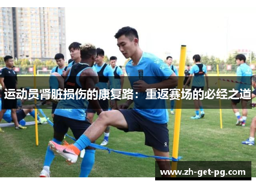 运动员肾脏损伤的康复路:重返赛场的必经之道 运动员肾脏损伤的康复路:重返赛场的必经之道