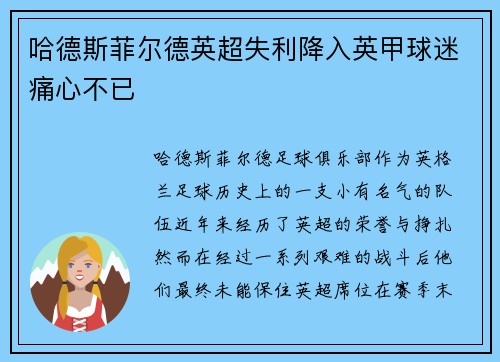哈德斯菲尔德英超失利降入英甲球迷痛心不已