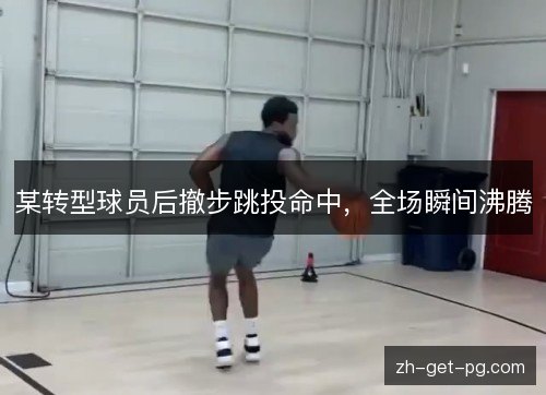 某转型球员后撤步跳投命中,全场瞬间沸腾 某转型球员后撤步跳投命中,全场瞬间沸腾